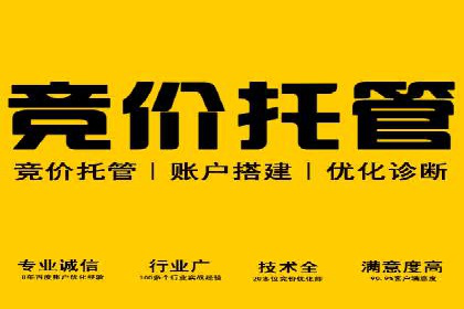 科技公司SEM关键词营销战略及实施效果